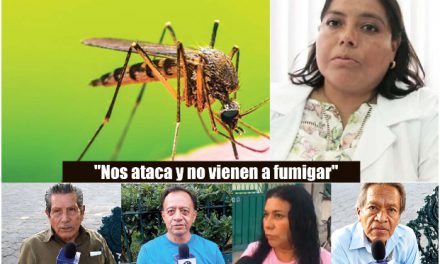 El dengue no da tregua en la Mixteca