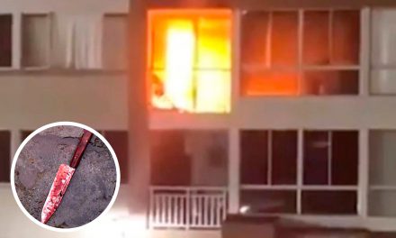 Adolescente apuñala siete veces a su madre y le prende fuego a la casa